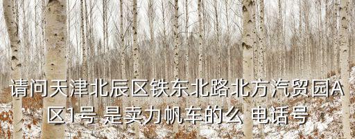 天津市空氣動力商貿有限公司地址，請問天津北辰區鐵東北路北方汽貿園A區1號 是賣力帆車的么 電話號