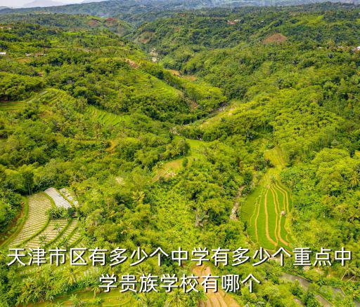 天津市區(qū)有多少個(gè)中學(xué)有多少個(gè)重點(diǎn)中學(xué)貴族學(xué)校有哪個(gè)