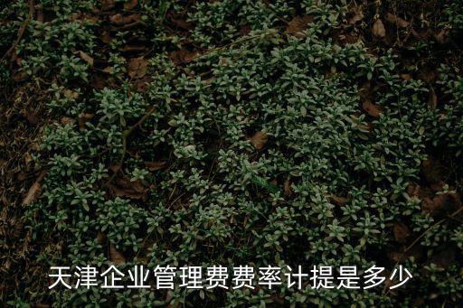天津企業管理費費率計提是多少