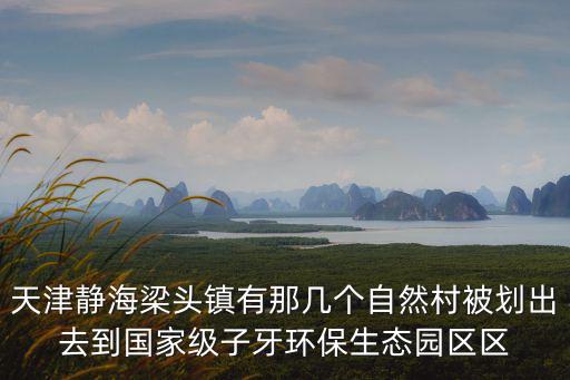 天津靜海梁頭鎮有那幾個自然村被劃出去到國家級子牙環保生態園區區