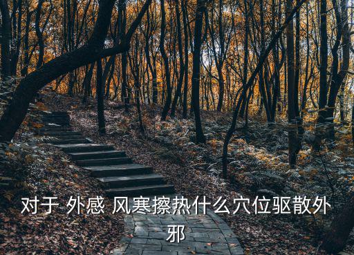 外感風(fēng)寒,風(fēng)寒二感以桂枝麻黃湯對(duì)半或沒(méi)有桂枝
