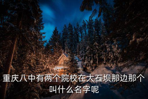 重慶八中有兩個(gè)院校在大石壩那邊那個(gè)叫什么名字呢