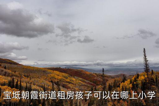 寶坻朝霞街道租房孩子可以在哪上小學(xué)