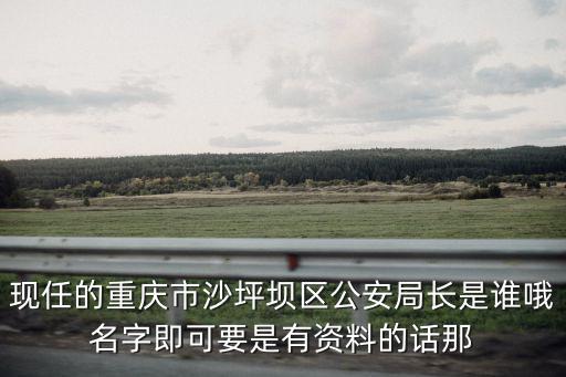 周文兵重慶市，重慶市交通局副局長(zhǎng)是誰