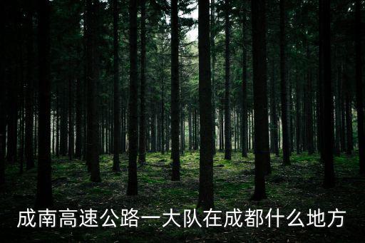 成南高速公路一大隊在成都什么地方