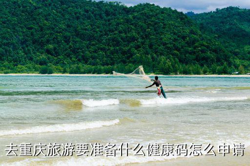 重慶市健康碼怎么登錄，重慶怎么用手機shuazuan
