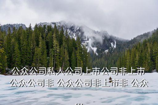  公眾公司私人公司上市公司非上市 公眾公司非 公眾公司非上市非 公眾...