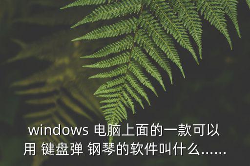 windows 電腦上面的一款可以用 鍵盤彈 鋼琴的軟件叫什么……