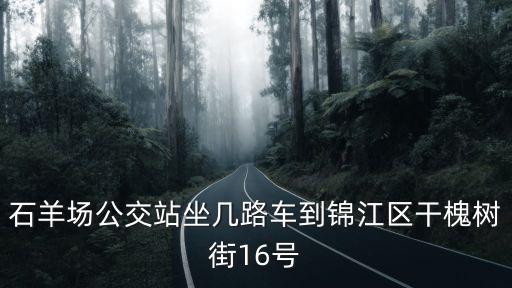 石羊場公交站坐幾路車到錦江區干槐樹街16號