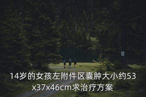 14歲的女孩左附件區(qū)囊腫大小約53x37x46cm求治療方案