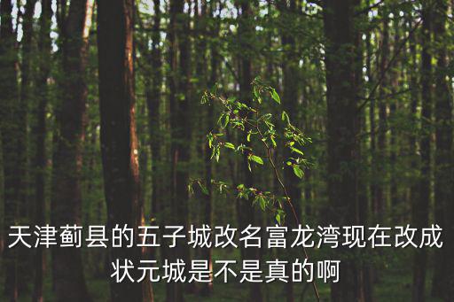 天津薊縣的五子城改名富龍灣現在改成狀元城是不是真的啊