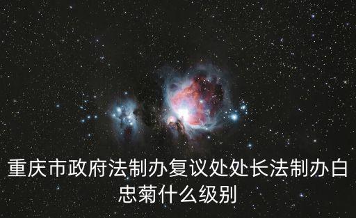 重慶市政府法制辦復議處處長法制辦白忠菊什么級別