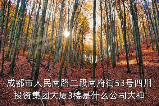 成都市人民南路二段南府街53號四川投資集團大廈3樓是什么公司大神