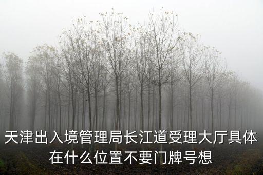天津出入境管理局長江道受理大廳具體在什么位置不要門牌號想