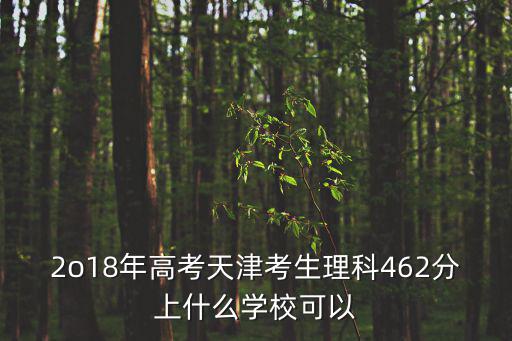 2o18年高考天津考生理科462分上什么學校可以