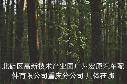 北碚區高新技術產業園廣州宏原汽車配件有限公司重慶分公司 具體在哪
