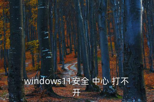 安全中心打不開,如何使用360安全衛士?