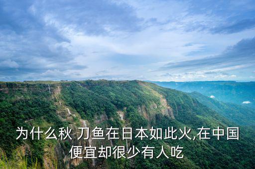 秋刀魚好吃嗎,為什么秋刀魚在日本很受歡迎?原來是這樣