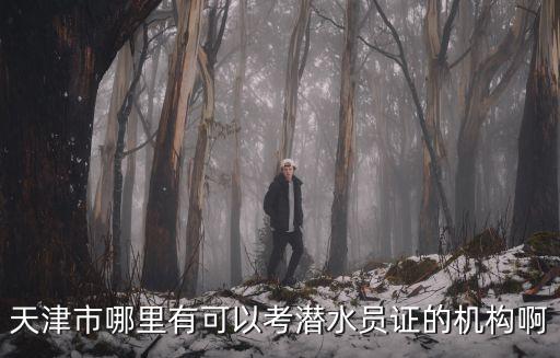 天津市哪里有可以考潛水員證的機構啊