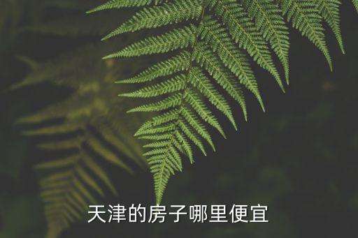 天津的房子哪里便宜