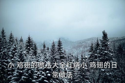 小 雞翅的做法大全紅燒小 雞翅的日常做法