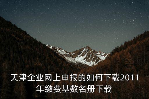 天津企業網上申報的如何下載2011年繳費基數名冊下載