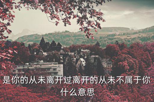 是你的從未離開過離開的從未不屬于你 什么意思