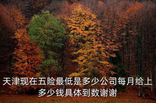 天津現在五險最低是多少公司每月給上多少錢具體到數謝謝