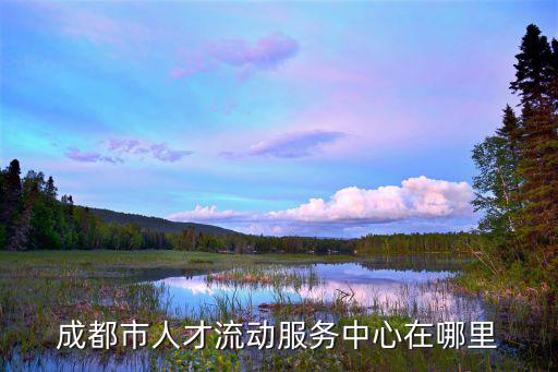 成都市人才流動(dòng)服務(wù)中心在哪里