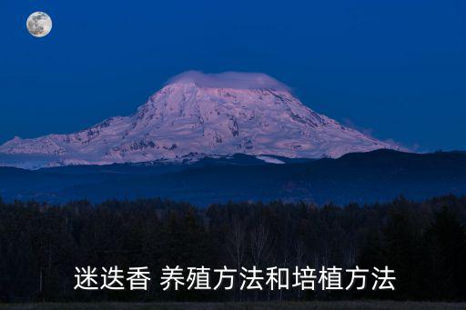 迷迭香的養殖方法和注意事項,迷迭香是如何養成的?