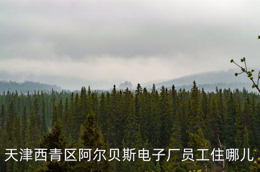 天津西青區阿爾貝斯電子廠員工住哪兒