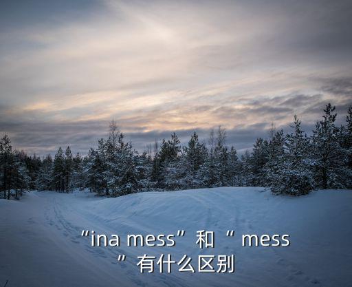 mess,混沌知多少?問與答（13）