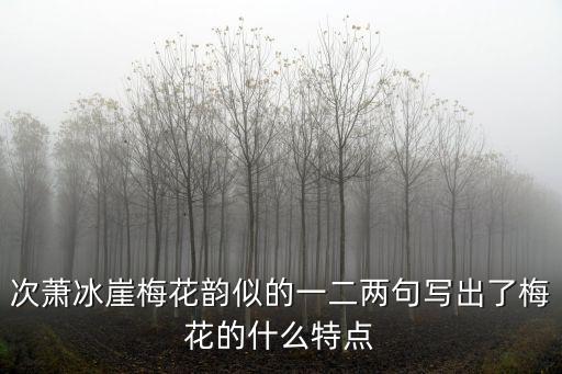 次蕭冰崖梅花韻似的一二兩句寫出了梅花的什么特點