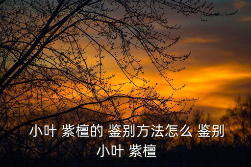  小葉 紫檀的 鑒別方法怎么 鑒別 小葉 紫檀