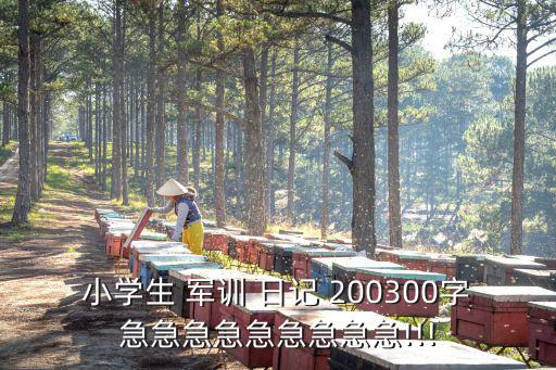 軍訓日記200字,軍訓訓練非常艱苦每天都有很多有趣事情