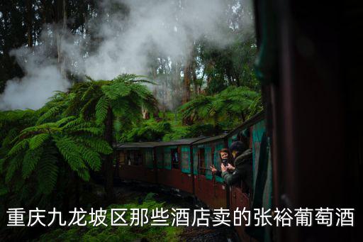 重慶九龍坡區那些酒店賣的張裕葡萄酒