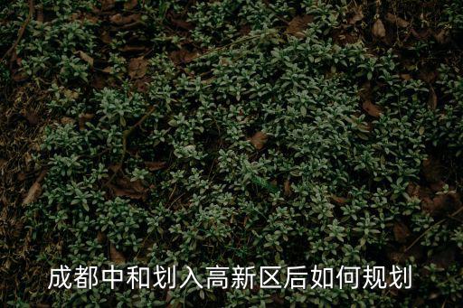 成都市高新區一期規劃，成都中和劃入高新區后如何規劃