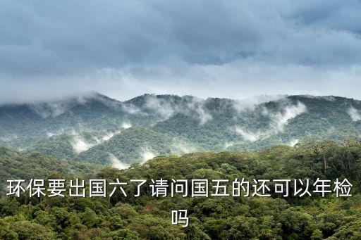 環保要出國六了請問國五的還可以年檢嗎