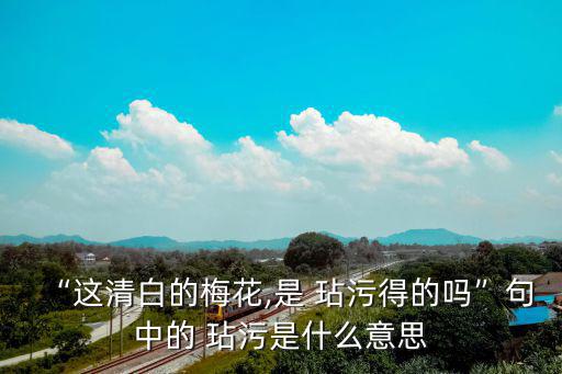 玷污是什么意思,老華僑珍惜莫美圖:勿美圖玷污中國民族精神