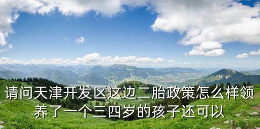 請問天津開發區這邊二胎政策怎么樣領養了一個三四歲的孩子還可以
