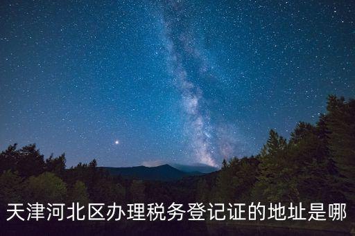 天津河北區辦理稅務登記證的地址是哪