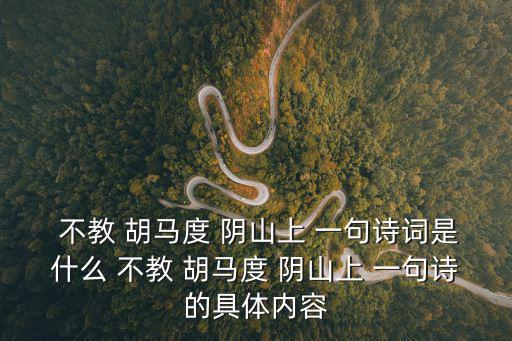  不教 胡馬度 陰山上 一句詩詞是什么 不教 胡馬度 陰山上 一句詩的具體內容