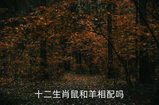 十二生肖鼠和羊相配嗎