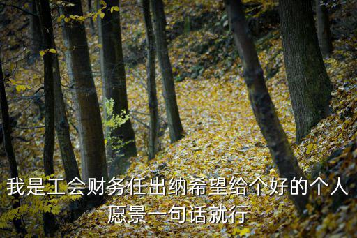 我是工會(huì)財(cái)務(wù)任出納希望給個(gè)好的個(gè)人愿景一句話就行
