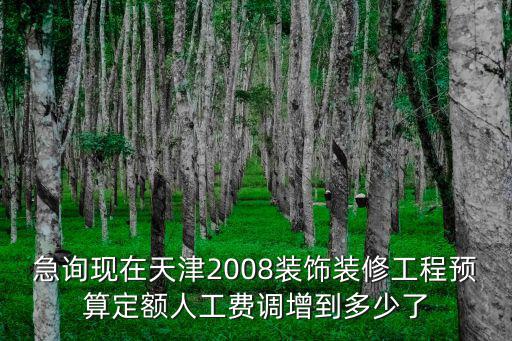 急詢現(xiàn)在天津2008裝飾裝修工程預(yù)算定額人工費調(diào)增到多少了