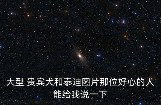 大型 貴賓犬和泰迪圖片那位好心的人能給我說(shuō)一下