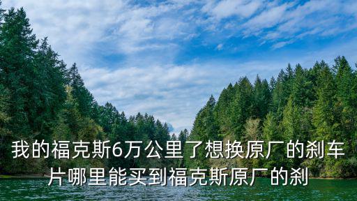 我的福克斯6萬公里了想換原廠的剎車片哪里能買到福克斯原廠的剎