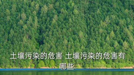  土壤污染的危害 土壤污染的危害有哪些