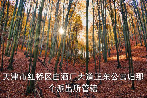 天津市紅橋區(qū)白酒廠大道正東公寓歸那個(gè)派出所管轄
