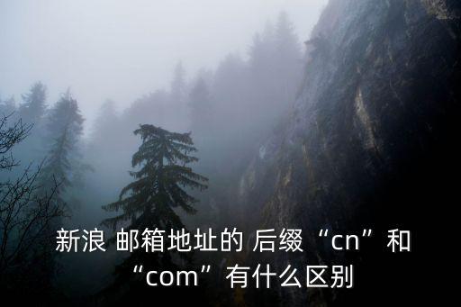  新浪 郵箱地址的 后綴“cn”和“com”有什么區(qū)別